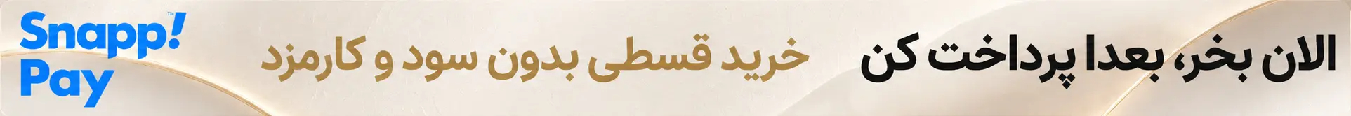 01-snapp-pay.webp